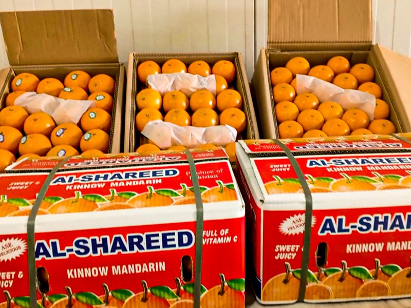 Export Quality Kinnows 10 kgs Box Rs.3,999.00 - Image 3