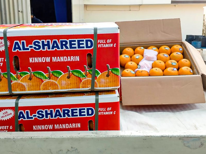 Export Quality Kinnows 10 kgs Box Rs.3,999.00 - Image 4